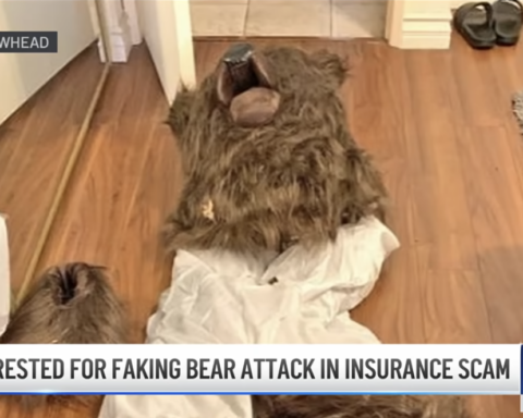 fake bear attack